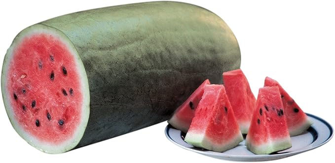 Burpee Charleston Gray (Heirloom) Watermelon Seeds 50 seeds