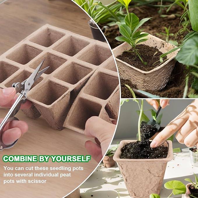 120 Cells Seed Starter Tray Kit, Biodegradable Peat Pots for Seedlings Trays, Plant Starter Seed Germination Kit with 20 Labels and 2 Transplant Tools (10, 120 Cells)