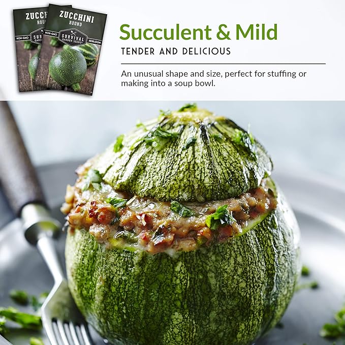 Survival Garden Seeds - Round Zucchini Seed for Planting - 3 Packs with Instructions to Plant & Grow Small Green Zucchinis in Your Home Vegetable Garden - Non-GMO Heirloom Variety - Seed Vault