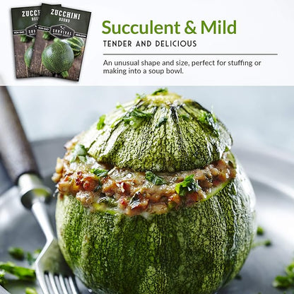 Survival Garden Seeds - Round Zucchini Seed for Planting - 3 Packs with Instructions to Plant & Grow Small Green Zucchinis in Your Home Vegetable Garden - Non-GMO Heirloom Variety - Seed Vault