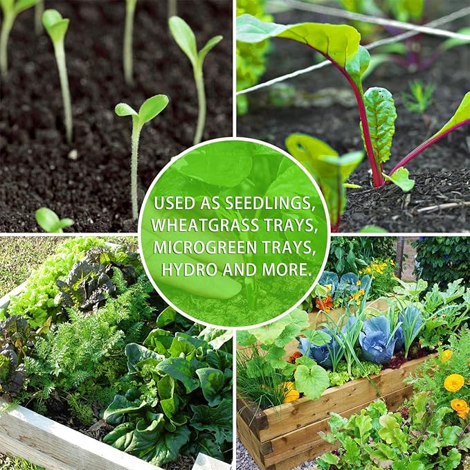 YoleShy 10 Pack Seed Starter Tray Reusable Plastic Plant Seedling Starter Trays Thickened Sturdy Durable for Germination Growing Microgreens Planting Propagation, Without Drain Holes, 14.5"x9"