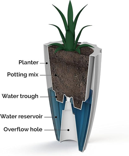 Mayne Inc. Sedona 28in Tall Planter - White - 16in Dia x 28in H - with 6.6 Gallon Built-in Water Reservoir (2832-W)
