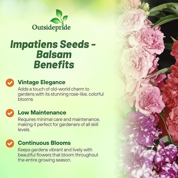 Outsidepride Balsam Impatiens Flower Seeds - 500 Pcs Annual, Compact & Pollinator Friendly, Impatiens Seeds for Planting w/Vibrant, Abundant Blooms for Shade Gardens & Container Displays