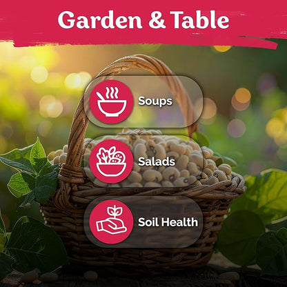 KVITER 75 California Black Eyed Peas Seeds for Planting (Vigna Unguiculata L.) — Cowpeas, Heirloom, Non GMO & Organic Peas, Field Peas, Heavy Yield — Vegetable Seeds for Outdoor Garden, Containers