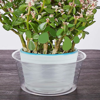 Idyllize 10 Pieces of 4 Inch Clear Thin Deep Plastic Plant Saucer Drip Tray for Pots (4'')