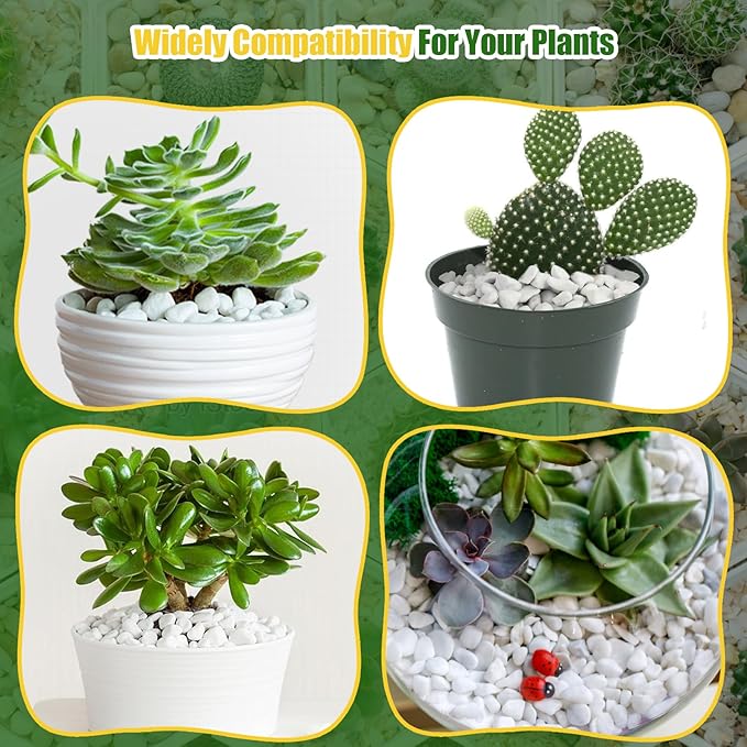 Organic Chunky Perlite for Plants (0.4"-0.8" in Diameter), Natural Horticultural Soil Additive Conditioner Mix, Improve Drainage and Ventilation, Enhance Soil Health and Root Growth (10 Quarts)
