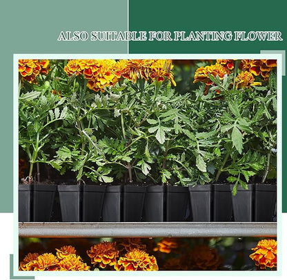 Yinder 250 Pcs 4 Inch Square Nursery Pots, Seedling Pots with Drainage Holes PP Plastic, Plant Planting Planters for Garden Outdoor Indoor Flower Succulent Vegetable Starting Seedlings, Black