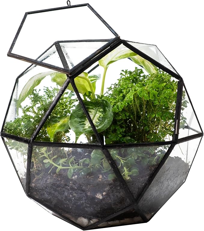 KraftStories Clear Glass Terrarium with Door | Sphere Design Container | Ideal Planter for Moss and Indoor Plants | Maintains Humidity | Self-Sustaining Indoor Garden Ecosystem (Only Terrarium)