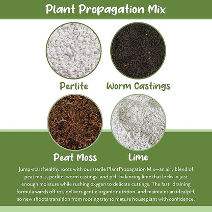 Soil Sunrise Plant Propagation Potting Mix (8 Quarts); Ideal Starter Mix for Rooting Plant Cuttings