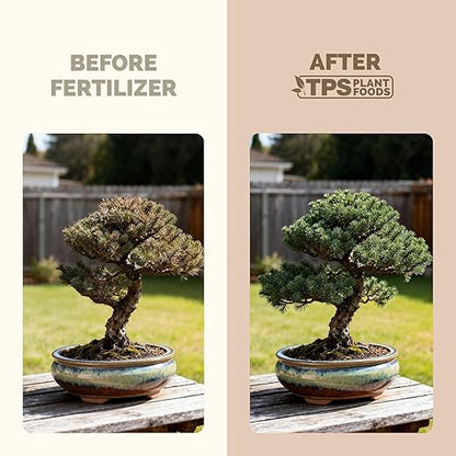 Bonsai Fertilizer for All Bonsai Trees, Great for Root Soaks, Liquid Plant Food 1 Gallon (128 oz)