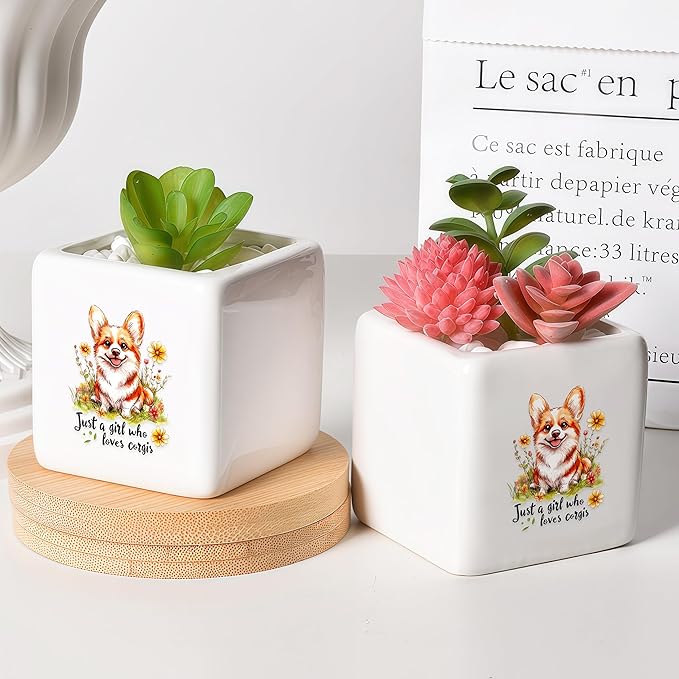 Corgi Succulent Planter Flower Plant Pot Small, Gifts for Women Teens Girls Kids, Corgi Lovers Themed Stuff Accessories Things Decor Merch, Home Office Table Desk Decoration!
