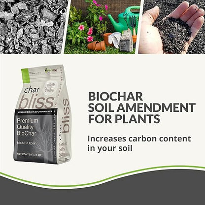 Worm Bliss (2 Gallons) + Char Bliss (8 Qts) - Organic Worm Castings for Plants & Organic Biochar for Plants - Biochar Soil Amendment - Charcoal for Plants - Earthworm Castings Organic Fertilizer