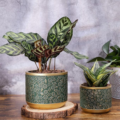6 +4.4 Inch Cement Planter Decorative Pots with Drainage Hole for All House Plants, Succulents, Flowers, and Cactus (Green)