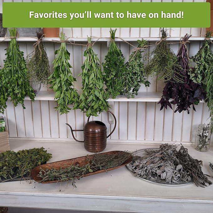 Sow Right Seeds - Perennial Herb Garden Seed Collection - Mint, Lavender, Sage, Common Chives, Lemon Balm, Garlic Chives, Thyme, Peppermint, Oregano and Marjoram - Non-GMO Heirloom Seeds for Planting