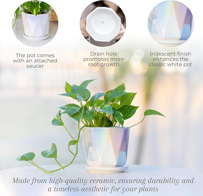 Coco Andrea Ceramic Plant Pots for Indoor Plants with Drainage & Saucers - 5-inch Iridescent White Planters for Houseplants, Succulents & Flowers - Housewarming Gift Set (1-pc, Small)