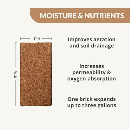 Worm Bliss (1 Qt) + Coco Coir Brick (650gms) + Char Bliss (1 Qt) - Organic Coco Coir for Plants - Worm Castings & Biochar for Plants - Organic Fertilizer & Soil Amendment Bundle - Potting Soil Mix