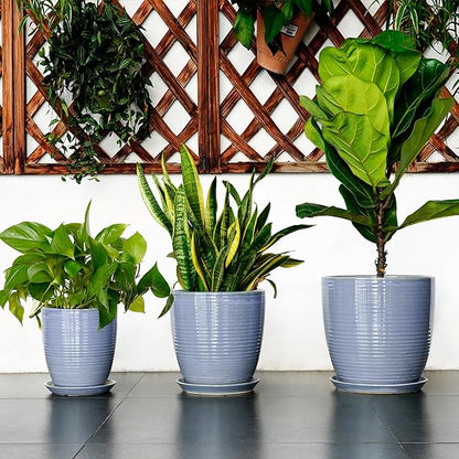 EEPFamily 8 Inch Plant Pot- Ceramic Planter for Indoor Outdoor with Drainage Hole and Plant Tray, Modern Round Porch Home Office Garden Living Room Decor, House Warming Gifts, Blue-Purple