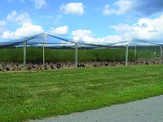 Stromberg’s 2” Mesh Heavy Duty Knotted Aviary Netting, UV Resistant Polyethylene Fiber for Game Birds, Pheasants & Poultry, 85 Lbs Break Strength Durable Against Weather and Predators, Size 50' x 100'