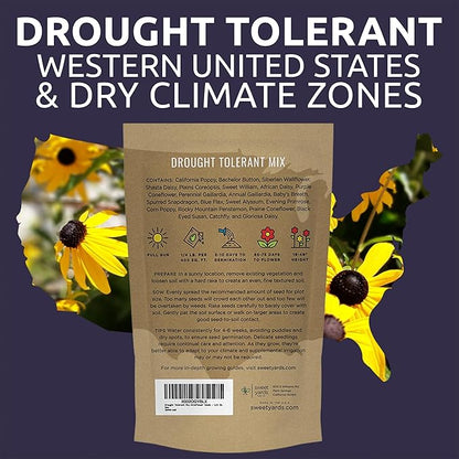 Drought Tolerant Wildflowers Mix – Bulk Quarter Pound Bag – Over 30,000 Open Pollinated Non-GMO Seeds – 21 Different Dryland Species