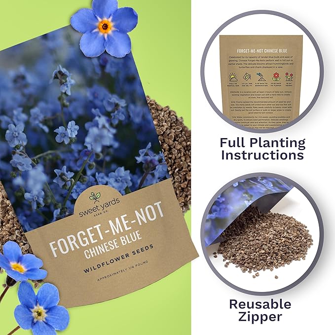 Chinese Forget Me Not Wildflower Seeds - Bulk 1/4 Pound Bag - Over 22,000 Open Pollinated Seeds - Blue Cynoglossum amabile