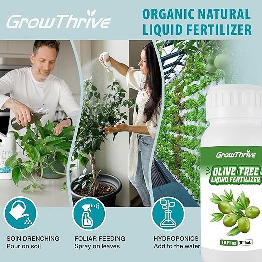 Olive Tree Fertilizer for All Olive and Oleaceae Trees, Liquid Plant Food for Fruit Trees Lush Foliage, Strong Roots, and Plump Olive Fruits, Nutrient-Rich Formula, 10oz
