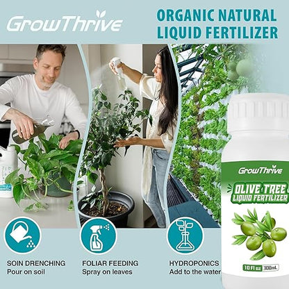 Olive Tree Fertilizer for All Olive and Oleaceae Trees, Liquid Plant Food for Fruit Trees Lush Foliage, Strong Roots, and Plump Olive Fruits, Nutrient-Rich Formula, 10oz