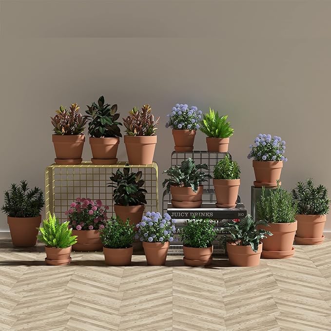 Fcacti 6.3 Inch Clay Pot for Plant with Drainage Hole - 6 Pack Large Terra Cotta Plant Pot, Ceramic Pottery Planter Cactus Flower Pots Succulent Pot, Terracotta Pot for Indoor Outdoor Plants
