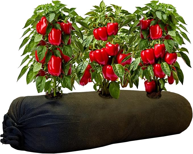 4x4 25 ft Tubular Fabric Planters for Outdoor Plants with Full Drip Irrigation System - Heavy Duty Mesh for Optimal Airflow, Customizable Up to 16 sq ft