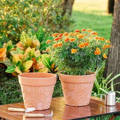 Melphoe Plant Pots Indoor with Drainage & Saucer, 2Pack 10 inch Flower Pots Outdoor Planters for Indoor Plants Garden Home Decor Cactus Succulent, Rigid Plastic (Imitation-Terracotta) Vine-Embossed