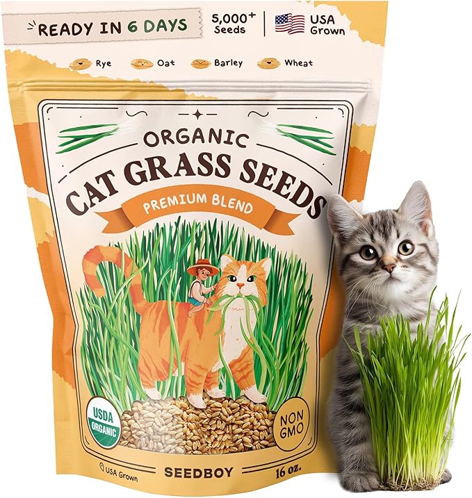 Seedboy Organic Cat Grass Seeds for Planting, Non-GMO Wheat, Oat, Rye, and Barley Cat Grass for Indoor Cats (16 oz)