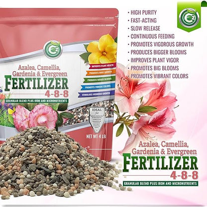 4-8-8 Azalea, Camellia, Gardenia & Evergreen Fertilizer - Made in USA - NPK + Micronutrients Plant Food for Indoor/Outdoor Plants & Flower Gardens