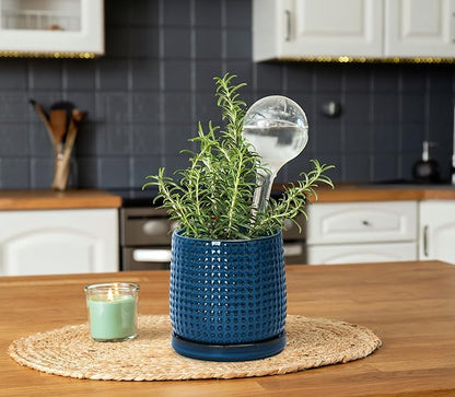 D'vine Dev Set of 2 Ceramic Plants Pots, 6 Inch Beaded Stoneware Flower Pot for Plants with Drainage Hole and Saucer, Midnight Blue, 27-E-X-3