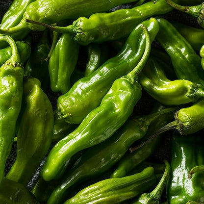 Shishito Pepper 70 Seeds, Japanese Heirloom Peppers, Shishitōgarashi, Non-GMO Japanese Wrinkled Pepper, 꽈리고추