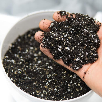 Horticultural Grade Perlite - One 8 Quart Bag ~2 Lbs - (~1/8 Inch Particles) - Soil Amendment Additive - for Growth, Aeration & Drainage for Potting Mix