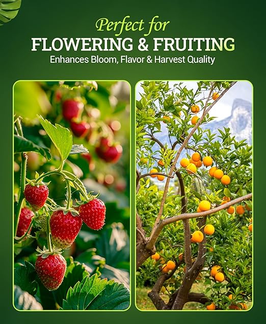FoxFarm Bush Doctor Bembé Sweet & Dandy Liquid Plant Fertilizer - Boosts Plant Sweetness & Soil Microbes, Complex Nutrient Blend - 0-1-3 PK Fertilizer for In-Ground & Hydroponic Gardens - 1 Pint