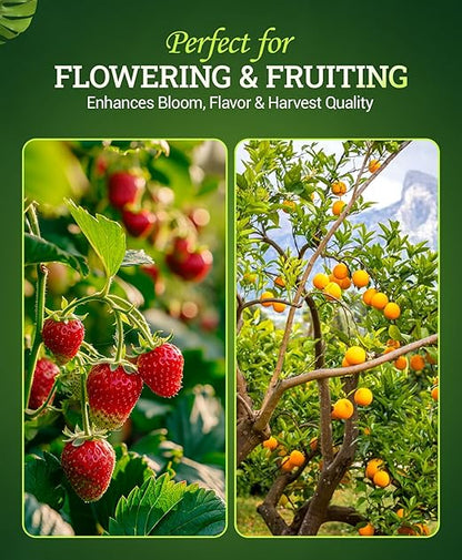 FoxFarm Bush Doctor Bembé Sweet & Dandy Liquid Plant Fertilizer - Boosts Plant Sweetness & Soil Microbes, Complex Nutrient Blend - 0-1-3 PK Fertilizer for In-Ground & Hydroponic Gardens - 1 Pint