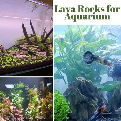 7LB Black Lava Rocks for Plants, Volcanic Rock Horticultural Lava Rock Soil for Landscaping Plants Drainage, Small Lava Rock Gravel for Succulents, Bonsai, Vase Fillers, Top Dressing