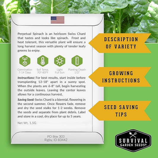 Perpetual Spinach Seeds for Planting – Swiss Chard Variety with Spinach Flavor, Heat & Cold Tolerant Long Season Greens for Spring to Fall Harvest - Survival Garden Seeds (1 Pack)