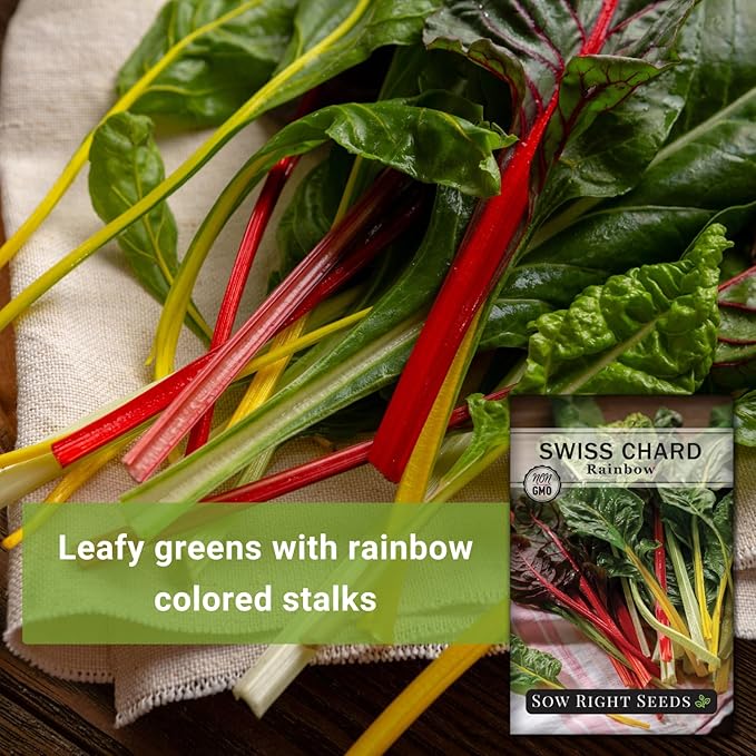 Sow Right Seeds - Rainbow Swiss Chard Seeds for Planting - Non-GMO Heirloom Packet with Instructions to Plant and Grow a Home Vegetable Garden - Nutritious Chard Greens for Cooking (2)