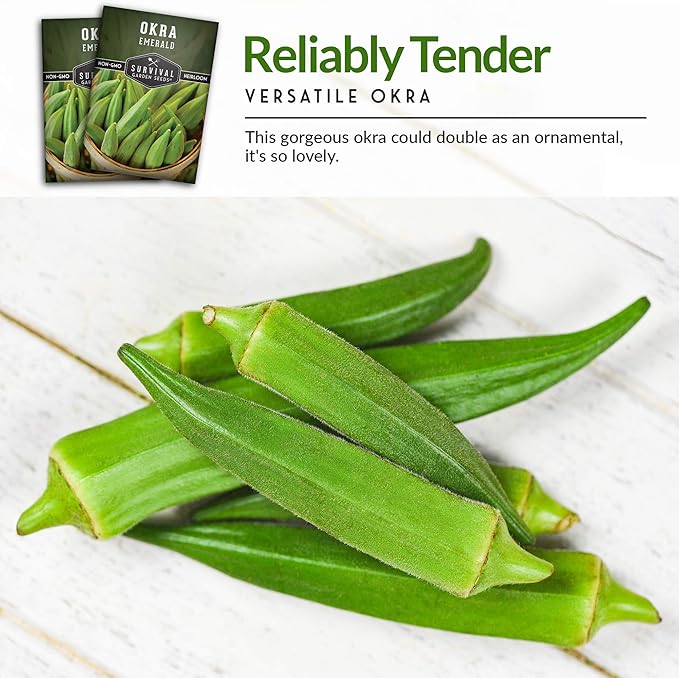 Survival Garden Seeds - Emerald Okra Seed for Planting – 1 Packet with Instructions to Grow Tender, Large Okra Plant Pods in Your Home Vegetable Garden – Non-GMO Heirloom Variety Seed