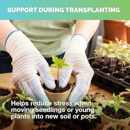 Starter Fertilizer – Liquid Plant Food for Seedlings, Starts & Transplants, Supports Strong Roots & Healthy Growth, 8 oz