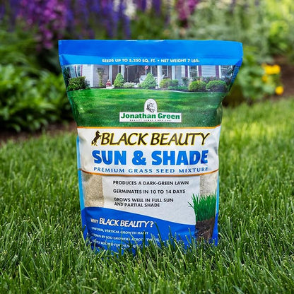 Jonathan Green (12004) Black Beauty Sun & Shade Grass Seed - Cool Season Lawn Seed (15 lb)
