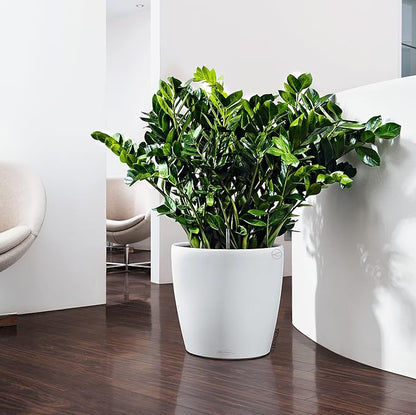 Lechuza Classico Color 43 White, Self-Watering Round Planter, D16.5 H15.7 in