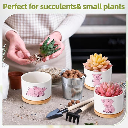 Vesici 3 Pcs Pink Pig Gifts for Women Pig Planter Succulent Pots with Drainage and Bamboo Tray Small Ceramic Succulent Planters Animal Plant Pot for Christmas Office Home Decor Plant Lovers