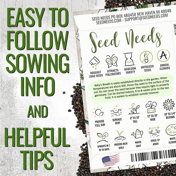 Seed Needs White Baby's Breath Seeds for Planting - Heirloom & Open Pollinated Annual Flowers - Perfect for a Butterfly Garden, Bouquets & Floral Arrangements (5 Packs)