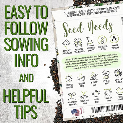 Seed Needs White Baby's Breath Seeds for Planting - Heirloom & Open Pollinated Annual Flowers - Perfect for a Butterfly Garden, Bouquets & Floral Arrangements (5 Packs)