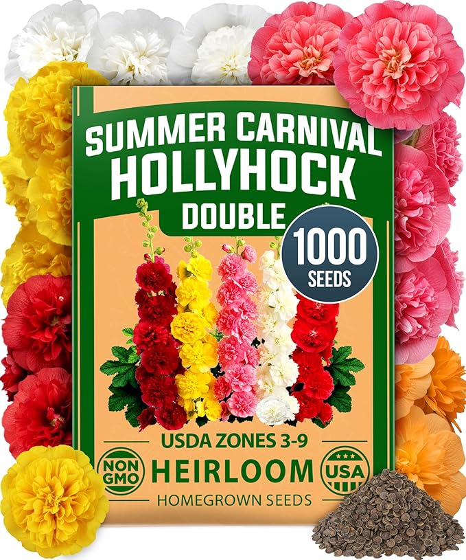 HOME GROWN Hollyhock Summer Carnival Mix Flower Seeds – Alcea Rosea, Premium Annual Flower Seeds, 1000 Seeds for Planting Flowers, High-Germination Flower Seed Bulk Pack
