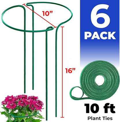 Tall Plant Support Stakes for Indoor and Outdoor - Peony Cages and Supports - Plant Cage Ring for Potted Flower - Peony, Tomato, Hydrangea, Rose Bush 10" W x 16" H (6 Pack)