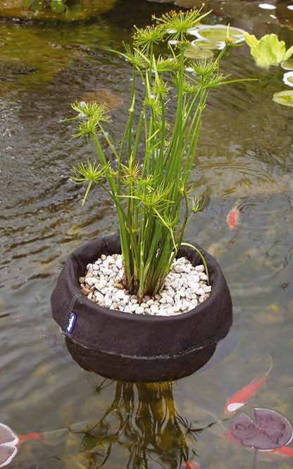 Laguna Floating Planting Basket, Extra Large
