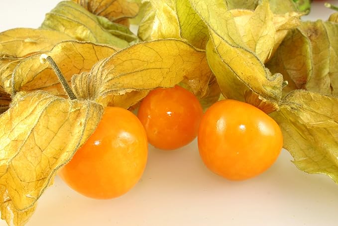 200+ Seeds Strawberry Ground Cherry - Physalis - Vegetable Orange